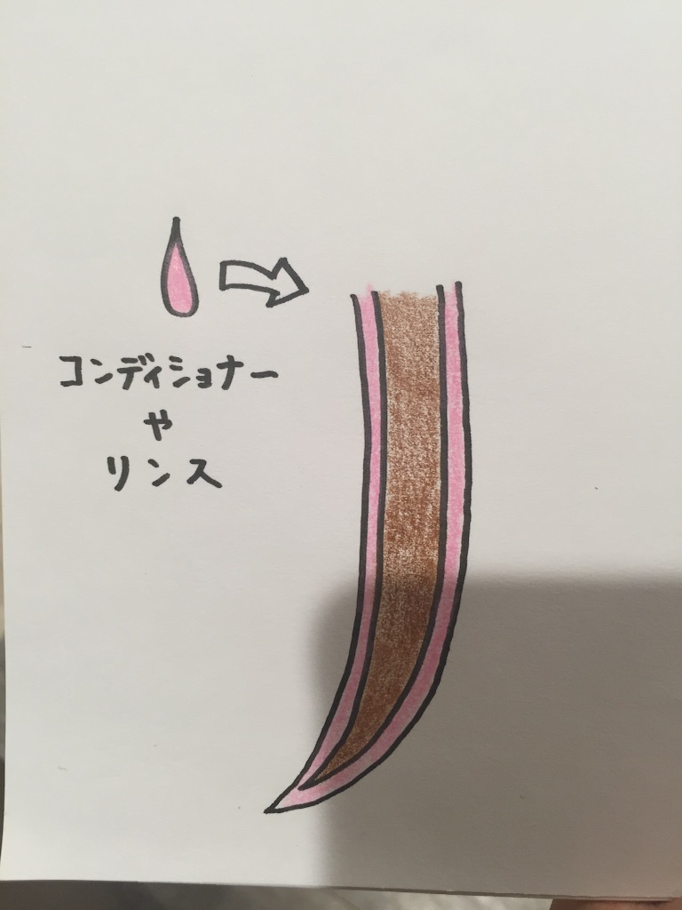 f:id:eriko_moon:20160122161442j:image f:id:eriko_moon:20160122161442j:image