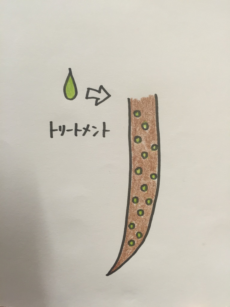 f:id:eriko_moon:20160122161456j:image f:id:eriko_moon:20160122161456j:image