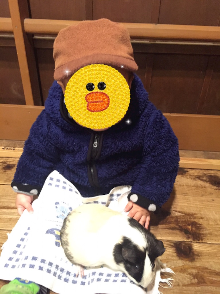 f:id:eriko_moon:20160216182908j:image f:id:eriko_moon:20160216182908j:image