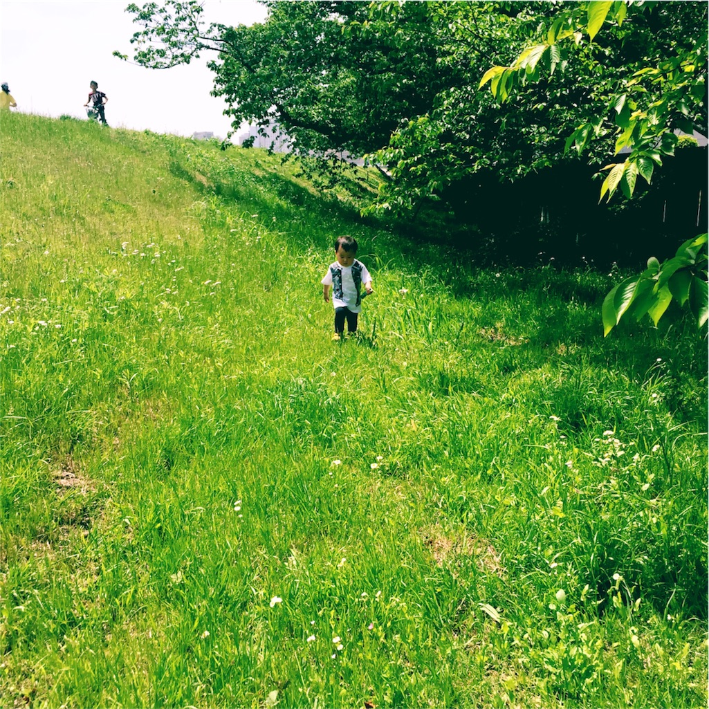 f:id:eriko_moon:20160510005455j:image f:id:eriko_moon:20160510005455j:image