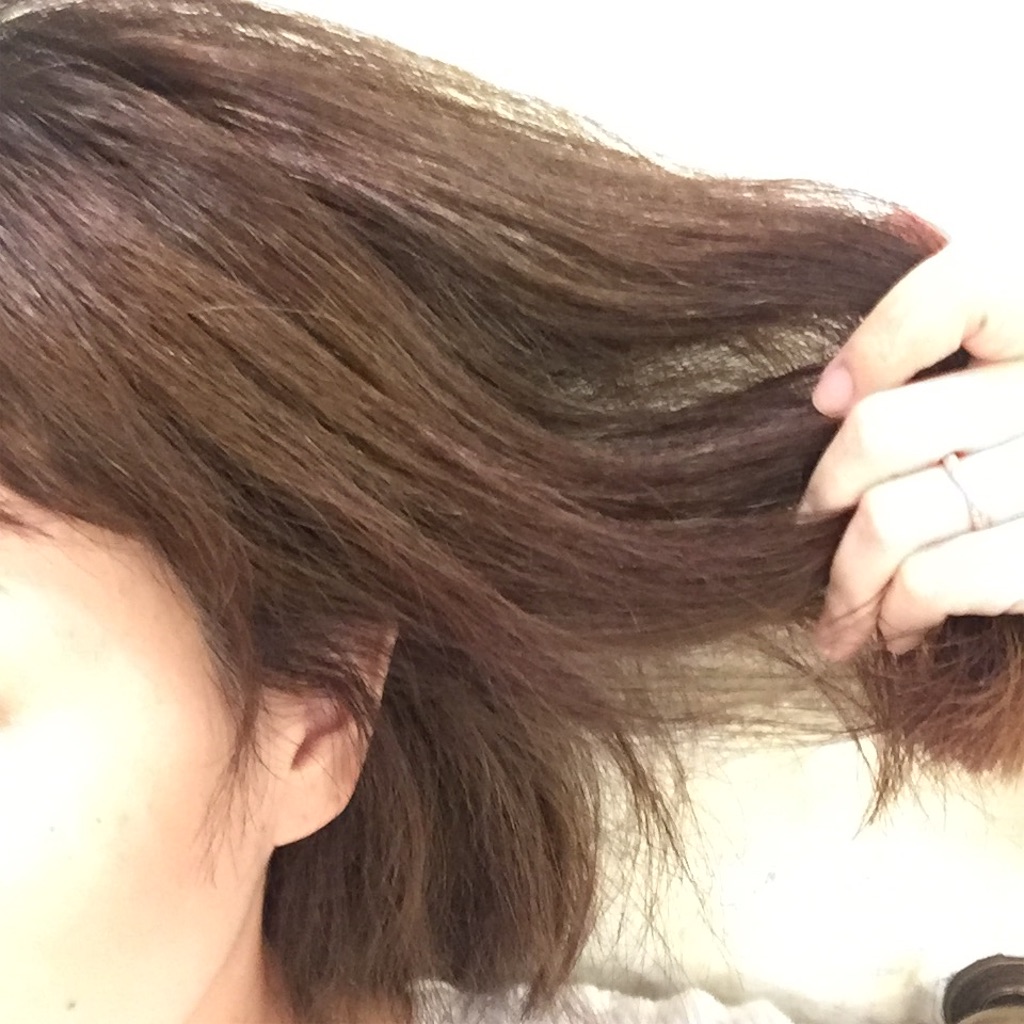 f:id:eriko_moon:20160604205750j:image f:id:eriko_moon:20160604205750j:image