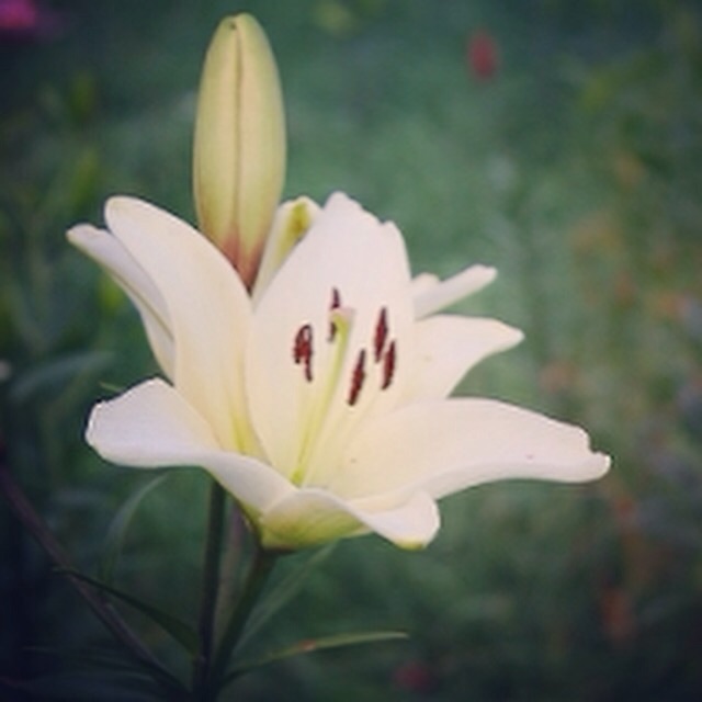 f:id:eringism:20150412013456j:plain f:id:eringism:20150412013456j:plain