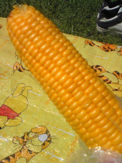 f:id:erippe05:20090801110941j:image f:id:erippe05:20090801110941j:image