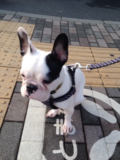 f:id:eryo:20140708063013j:plain f:id:eryo:20140708063013j:plain