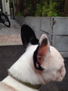 f:id:eryo:20140713155940j:plain f:id:eryo:20140713155940j:plain