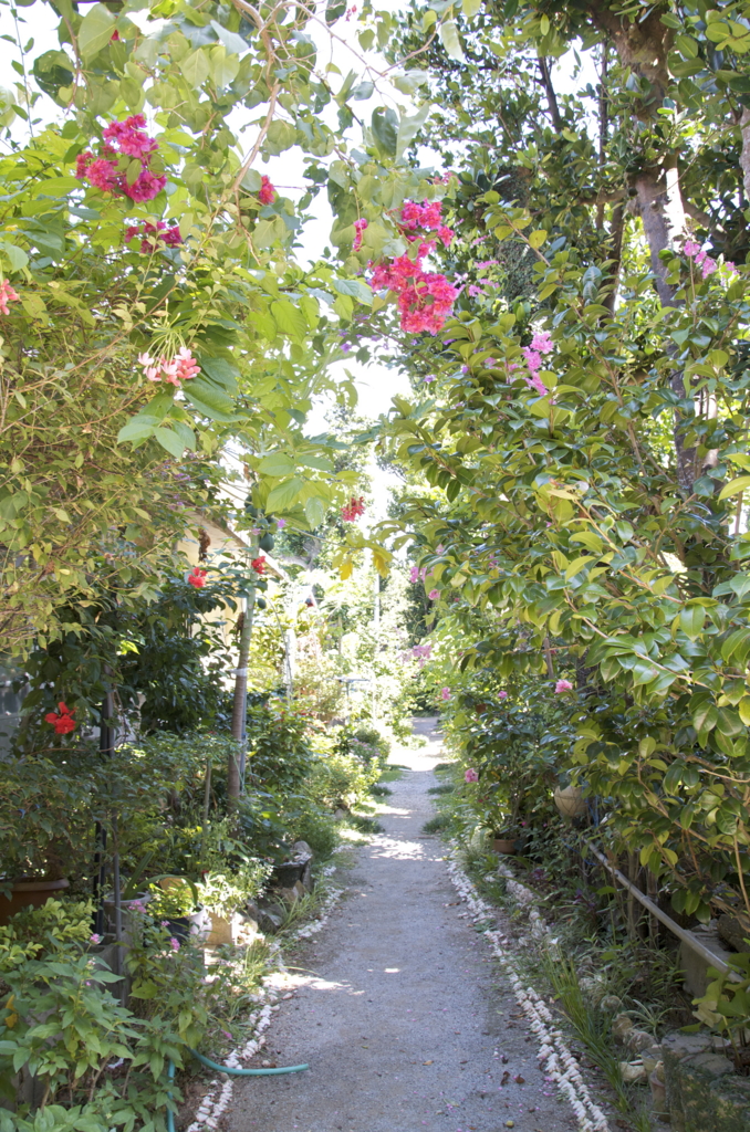 f:id:escapismphoto:20151002132925j:plain f:id:escapismphoto:20151002132925j:plain
