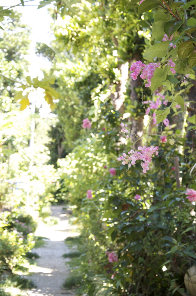 f:id:escapismphoto:20151002133001j:plain f:id:escapismphoto:20151002133001j:plain