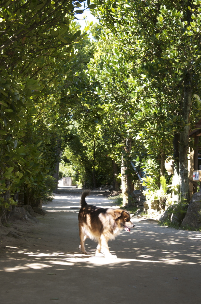 f:id:escapismphoto:20151002133337j:plain f:id:escapismphoto:20151002133337j:plain
