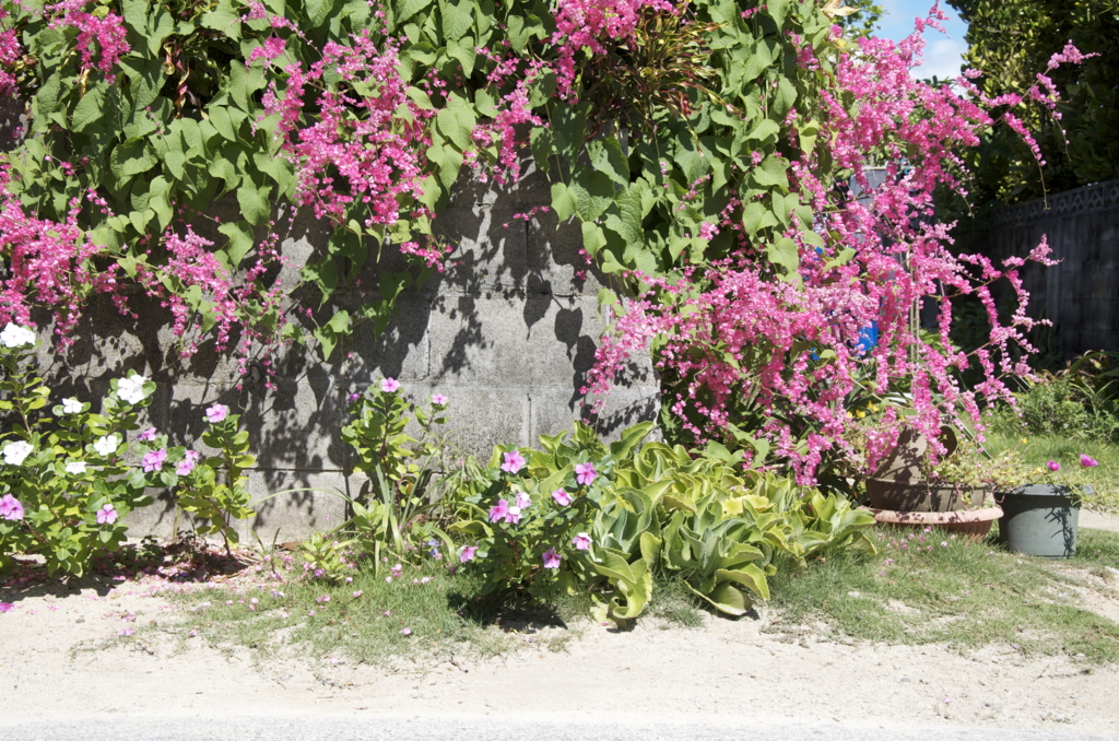 f:id:escapismphoto:20151002133429j:plain f:id:escapismphoto:20151002133429j:plain