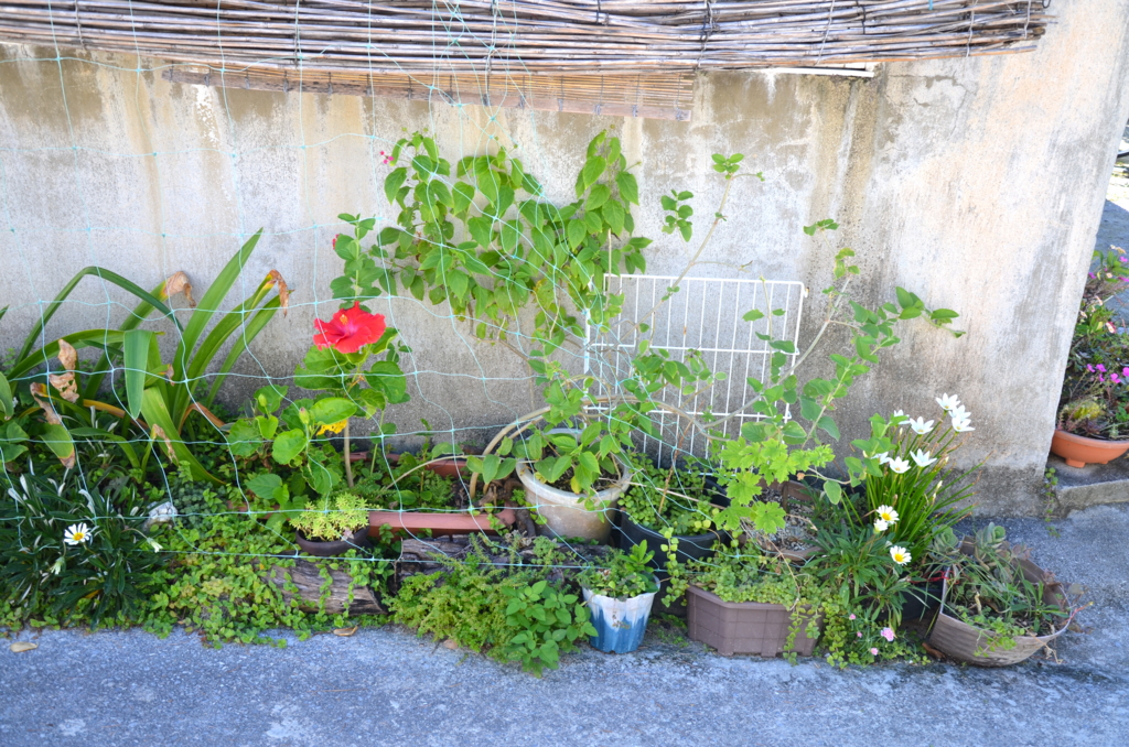 f:id:escapismphoto:20151002133458j:plain f:id:escapismphoto:20151002133458j:plain