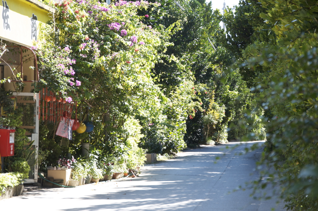 f:id:escapismphoto:20151002133521j:plain f:id:escapismphoto:20151002133521j:plain