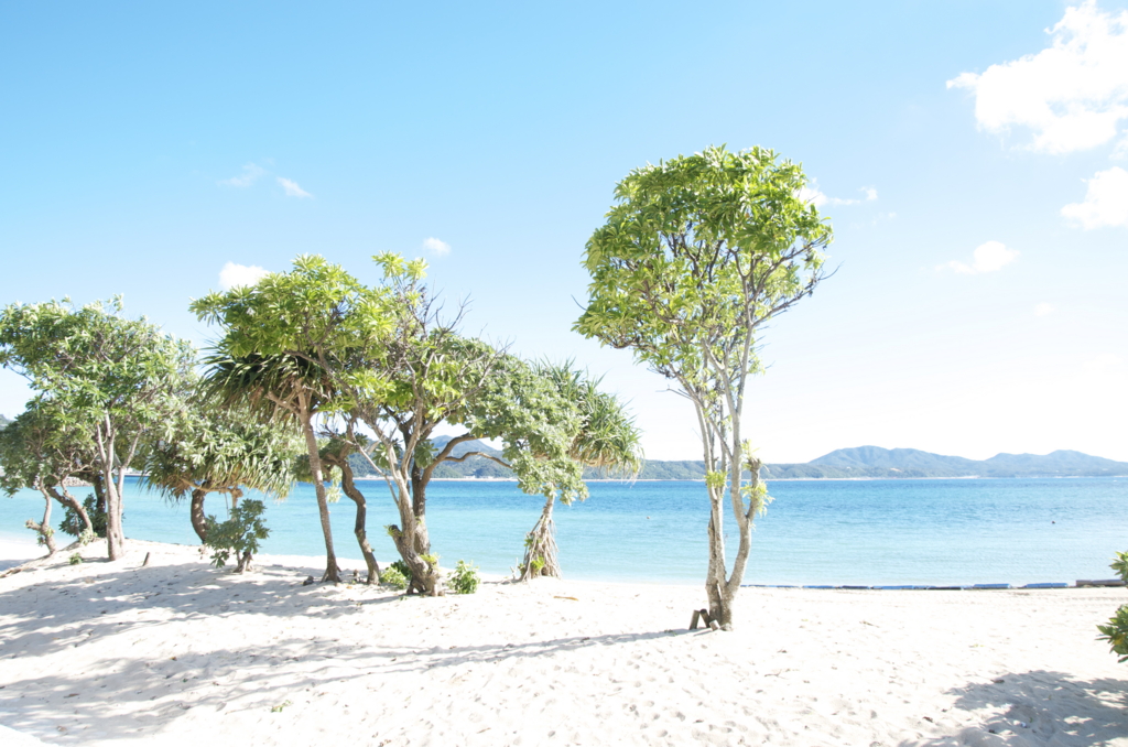 f:id:escapismphoto:20151002133708j:plain f:id:escapismphoto:20151002133708j:plain