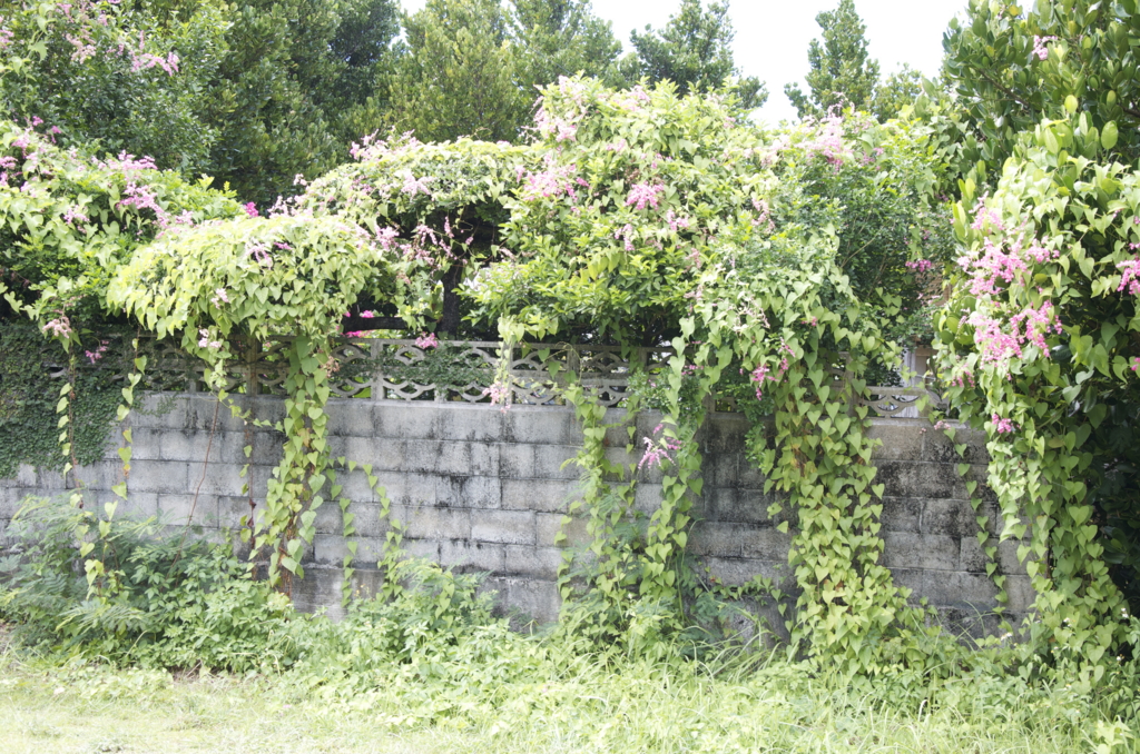 f:id:escapismphoto:20151002134007j:plain f:id:escapismphoto:20151002134007j:plain
