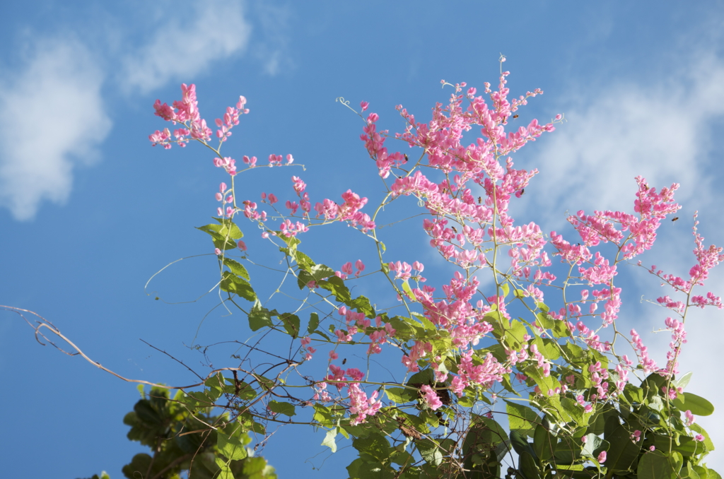 f:id:escapismphoto:20151002134036j:plain f:id:escapismphoto:20151002134036j:plain