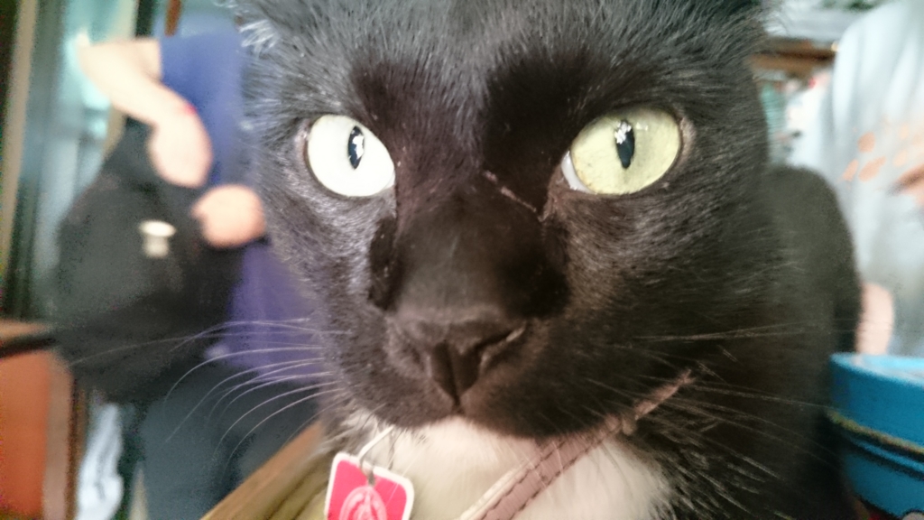 f:id:esimplicitaes:20160302223840j:plain