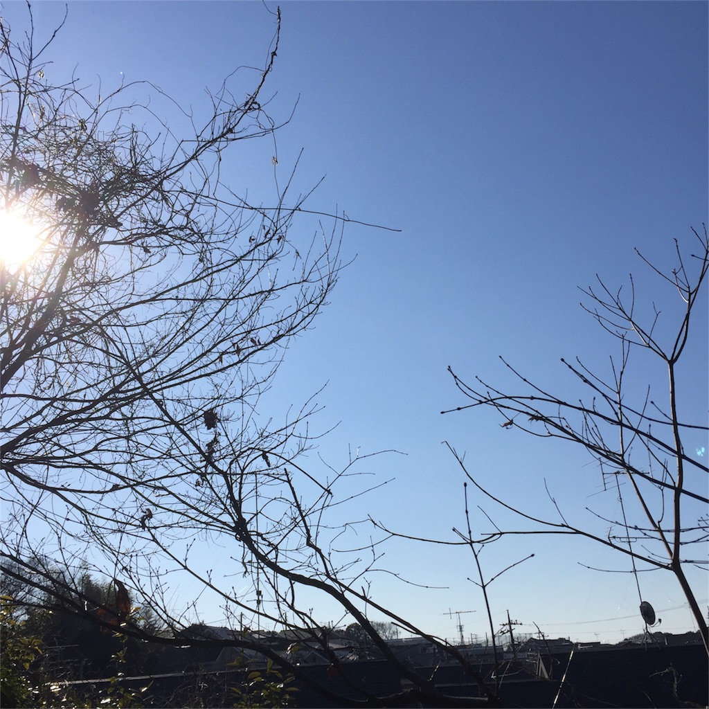f:id:eternajun:20160211092421j:image f:id:eternajun:20160211092421j:image