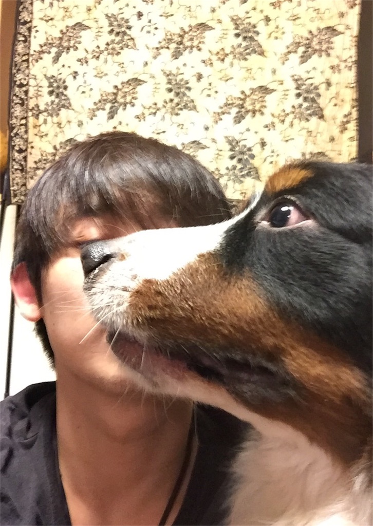 f:id:eternajun:20160307063201j:image f:id:eternajun:20160307063201j:image