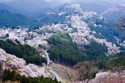 f:id:eternal-traveler:20151015164830j:plain f:id:eternal-traveler:20151015164830j:plain