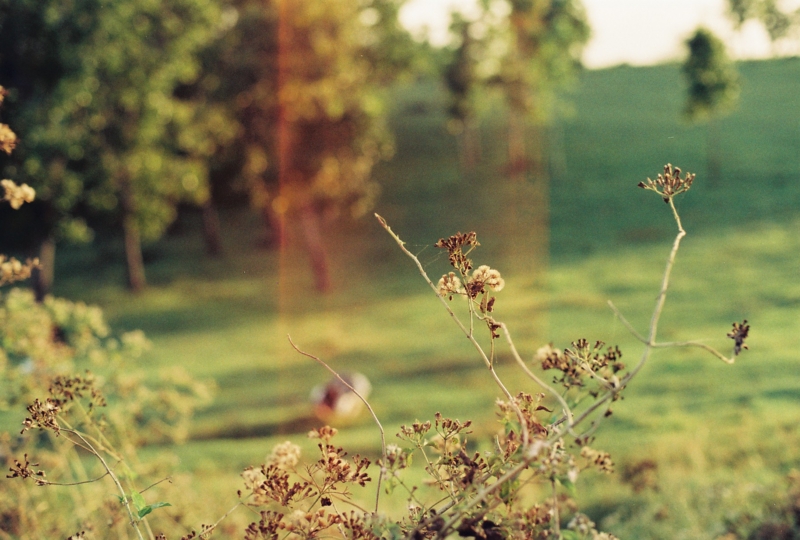 f:id:ethermoon:20120509094048j:image