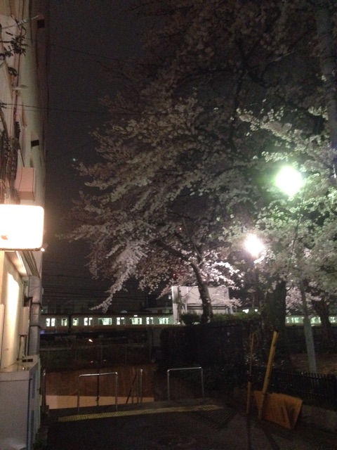 f:id:evergreen114:20150402234250j:plain f:id:evergreen114:20150402234250j:plain