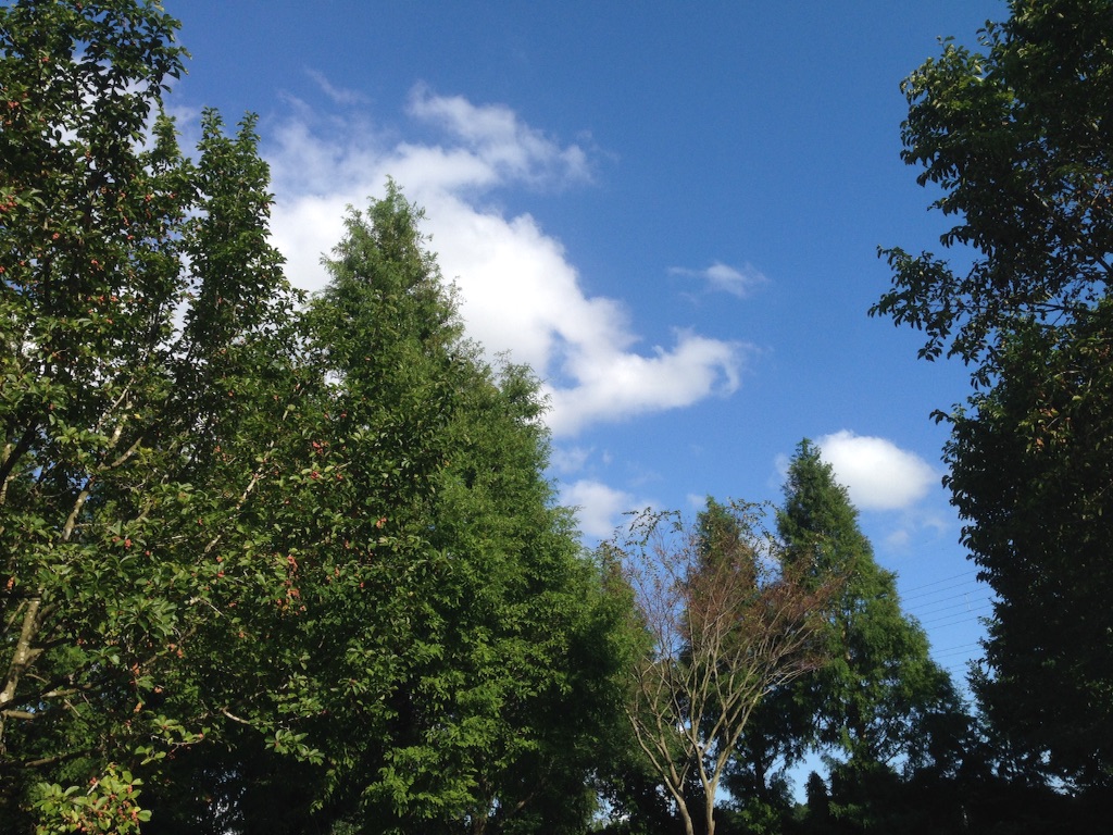 f:id:evergreen114:20150915010235j:image f:id:evergreen114:20150915010235j:image