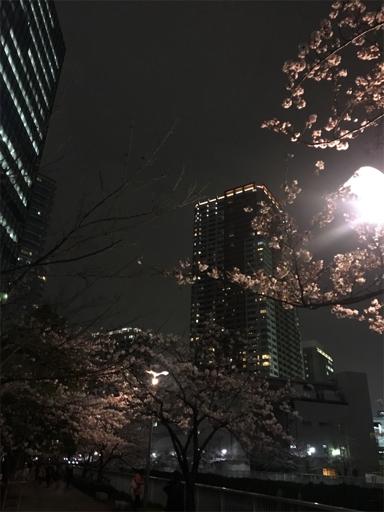 f:id:evergreen114:20160401232044j:image f:id:evergreen114:20160401232044j:image