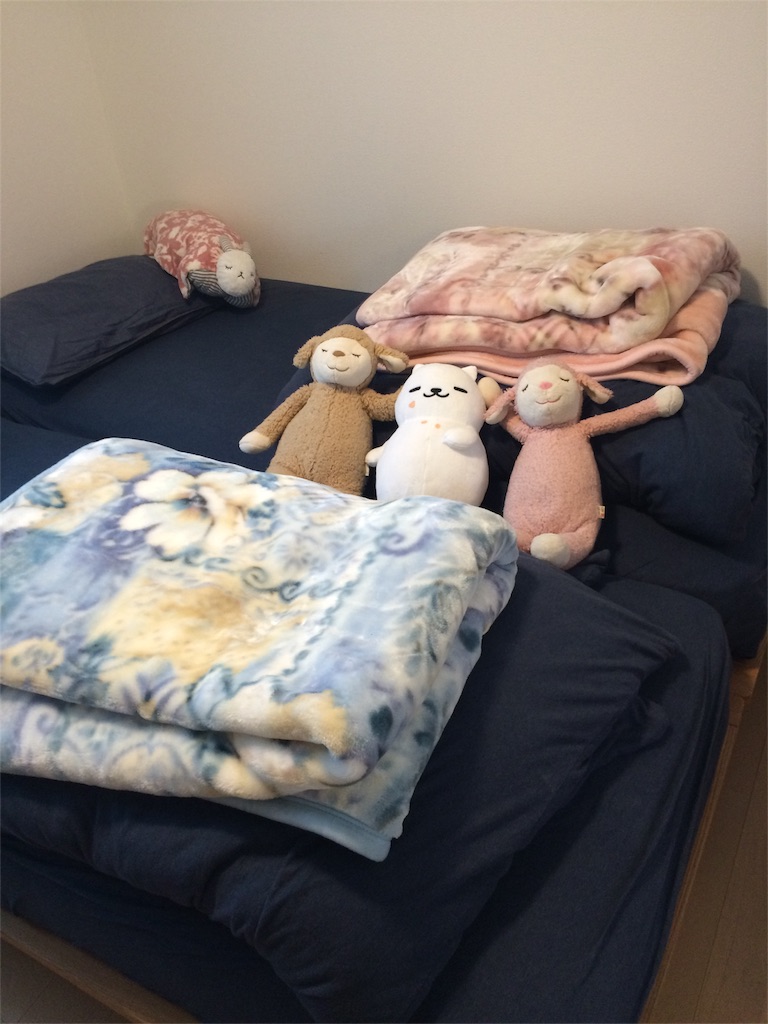 f:id:everydaypocoapoco:20151201170005j:image f:id:everydaypocoapoco:20151201170005j:image