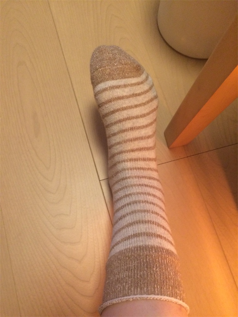 f:id:everydaypocoapoco:20160124144457j:image f:id:everydaypocoapoco:20160124144457j:image
