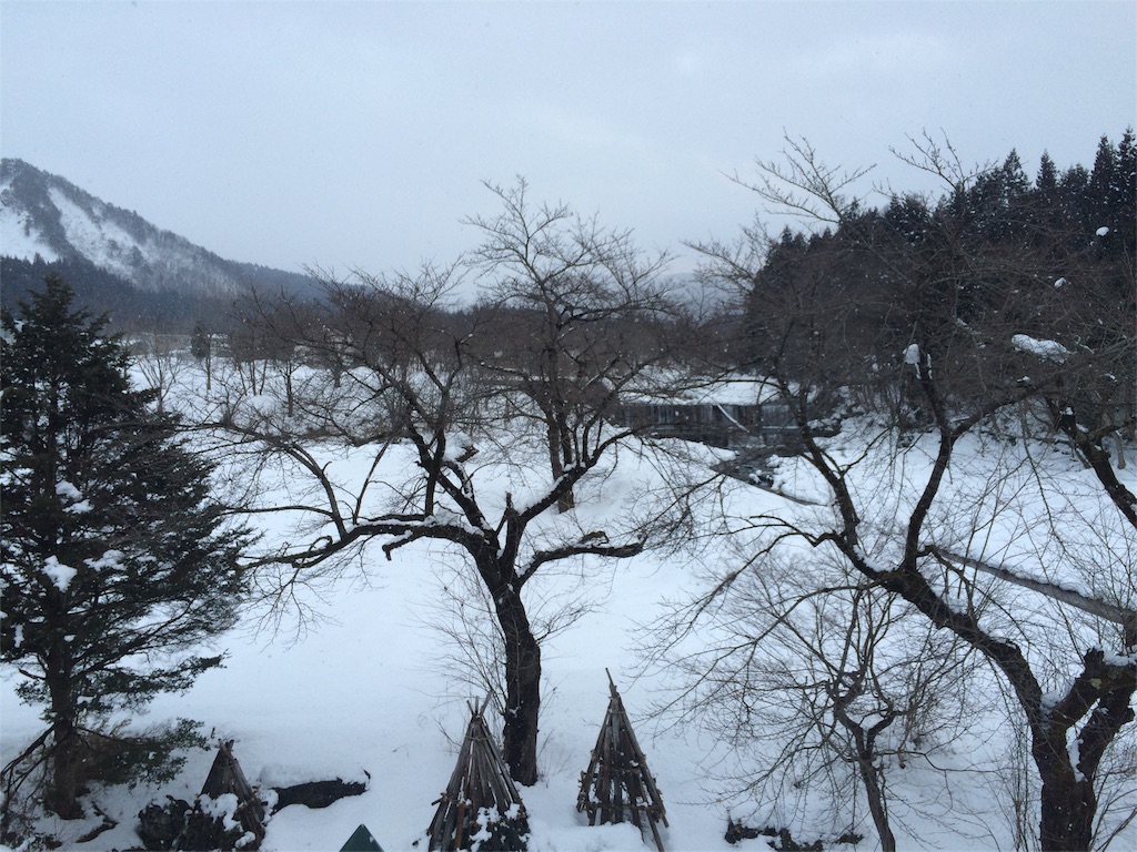 f:id:everydaypocoapoco:20160208114807j:image f:id:everydaypocoapoco:20160208114807j:image