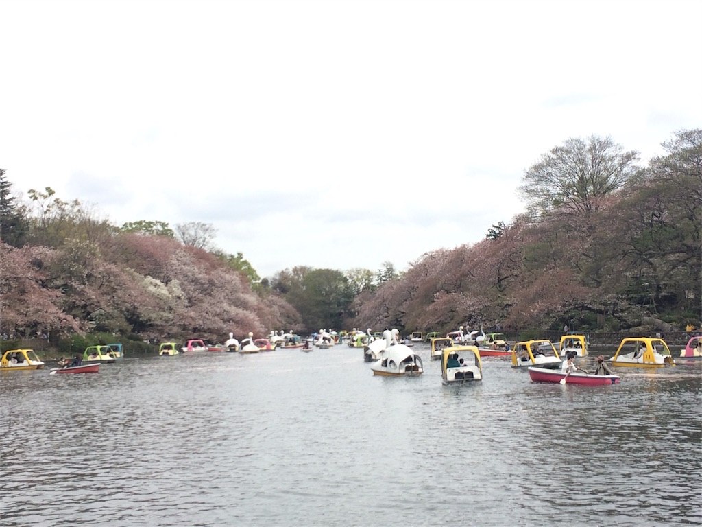 f:id:everydaypocoapoco:20160411142741j:image f:id:everydaypocoapoco:20160411142741j:image