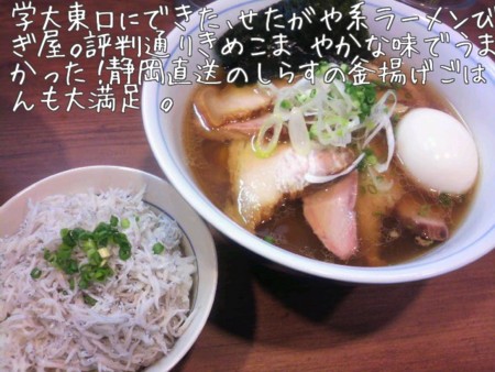 f:id:fal725:20091102020406j:image