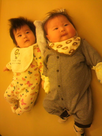 f:id:fal725:20091202134900j:image