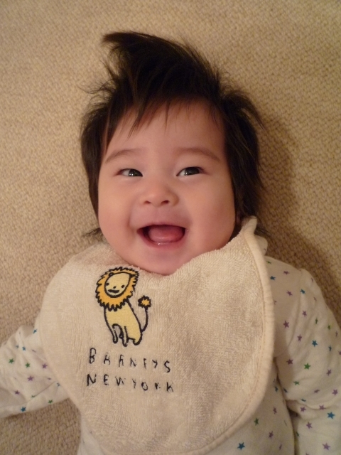 f:id:fal725:20091218185145j:image f:id:fal725:20091218185145j:image