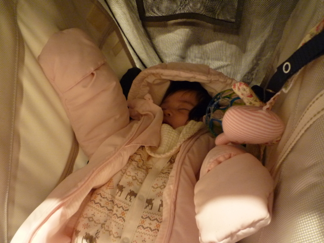 f:id:fal725:20100115174245j:image