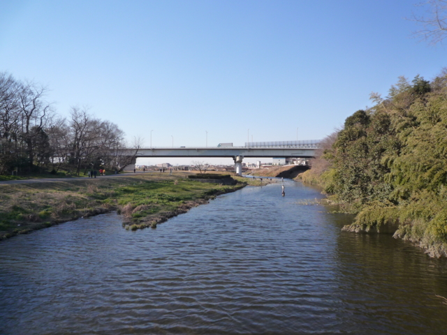 f:id:fal725:20100124143256j:image