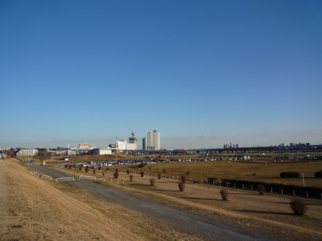 f:id:fal725:20100124154103j:image