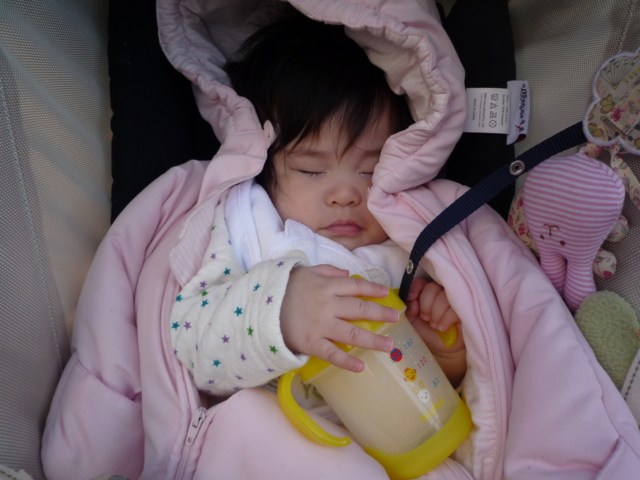 f:id:fal725:20100127132537j:image