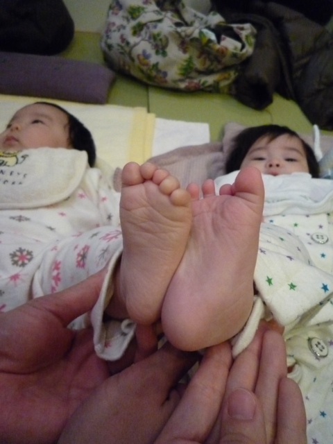 f:id:fal725:20100127134553j:image