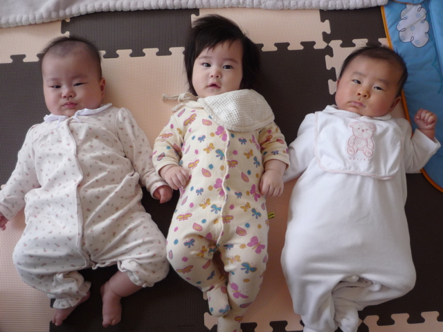 f:id:fal725:20100129134025j:image