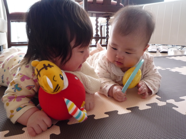 f:id:fal725:20100129142836j:image