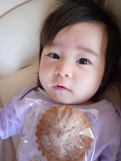 f:id:fal725:20100131103852j:image