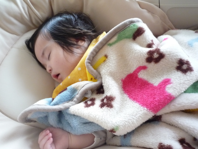 f:id:fal725:20100304133624j:image f:id:fal725:20100304133624j:image