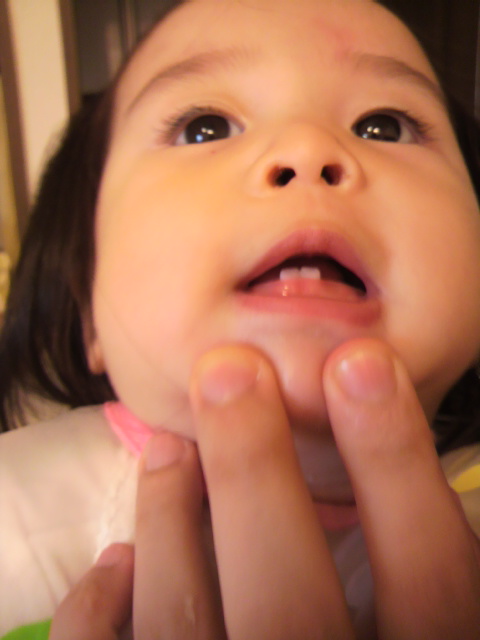 f:id:fal725:20100712184800j:image