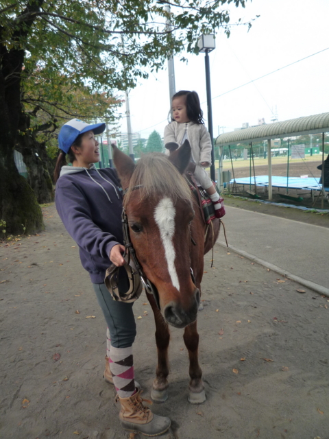 f:id:fal725:20101107142919j:image
