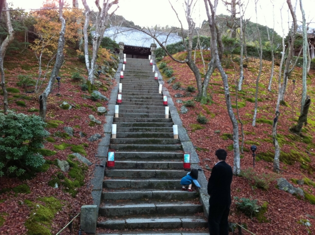 f:id:fal725:20101214162651j:image