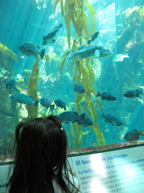 f:id:fal725:20110501021155j:image f:id:fal725:20110501021155j:image