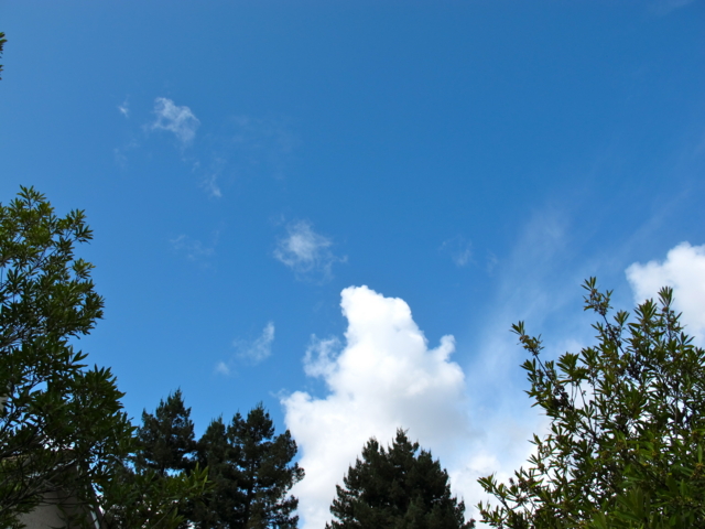 f:id:fal725:20111005113037j:image