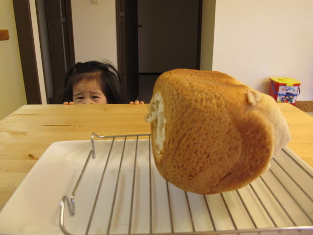 f:id:fal725:20111214073329j:image