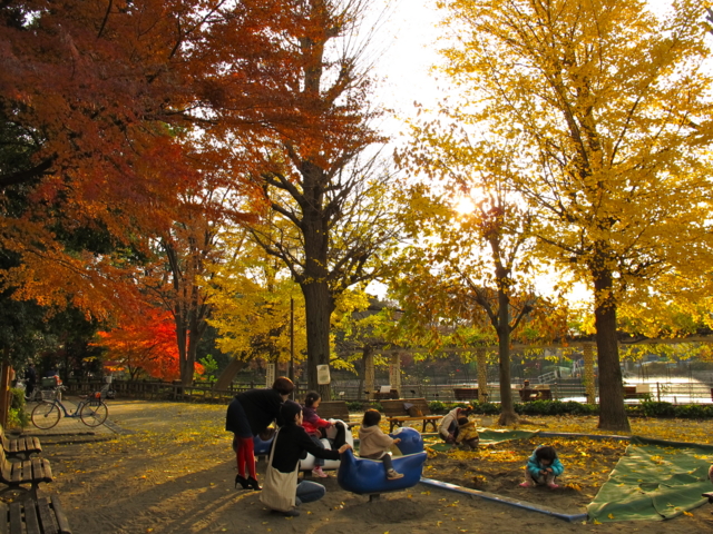 f:id:fal725:20111216145433j:image