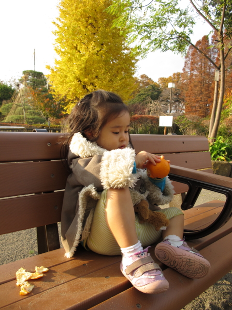 f:id:fal725:20111216150630j:image